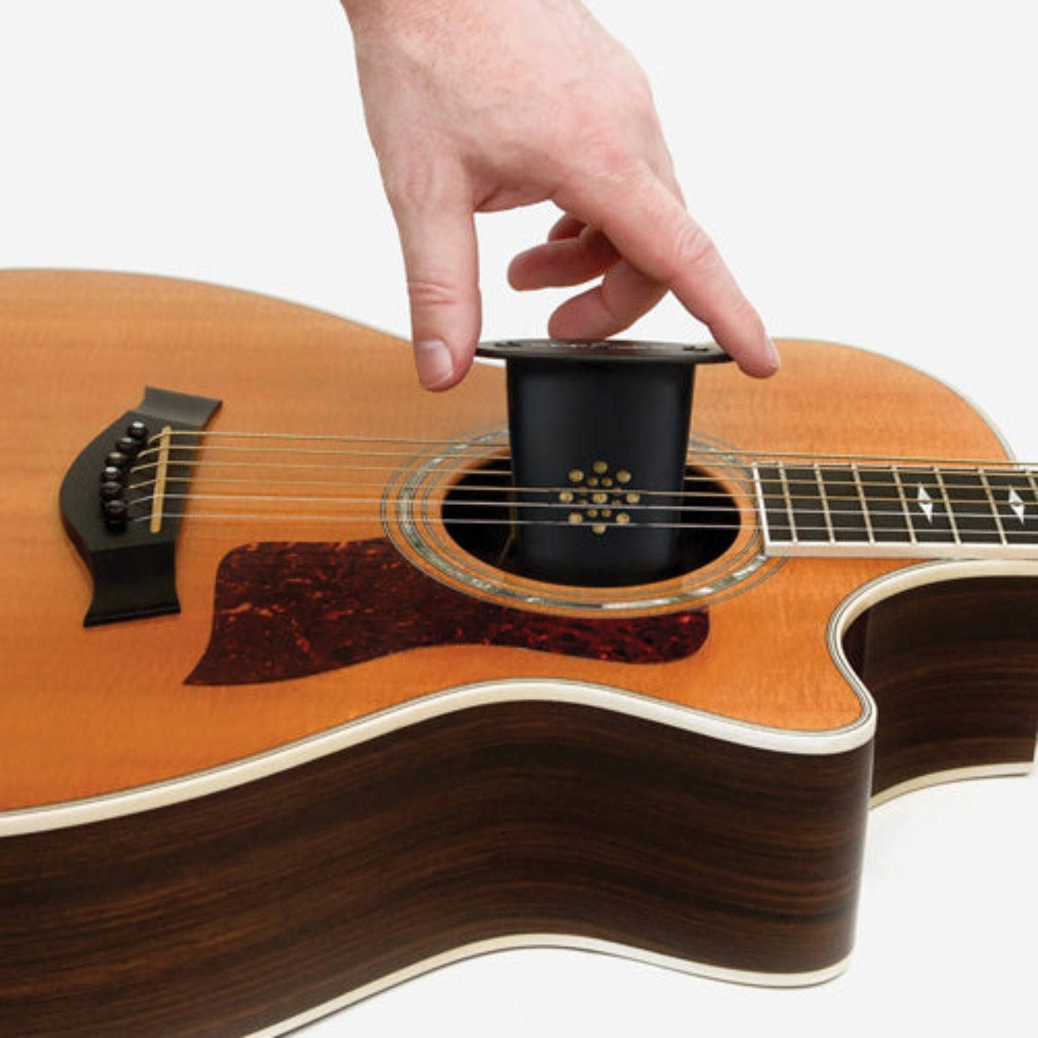 D'Addario Acoustic Guitar Humidifier by D'Addario Canada