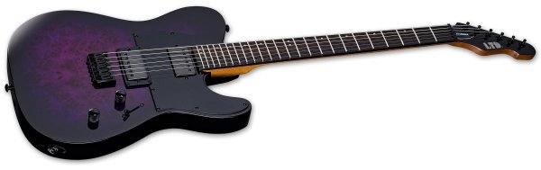 ESP TE - 200DX Electric Guitar, Purple Burst by Coast Music