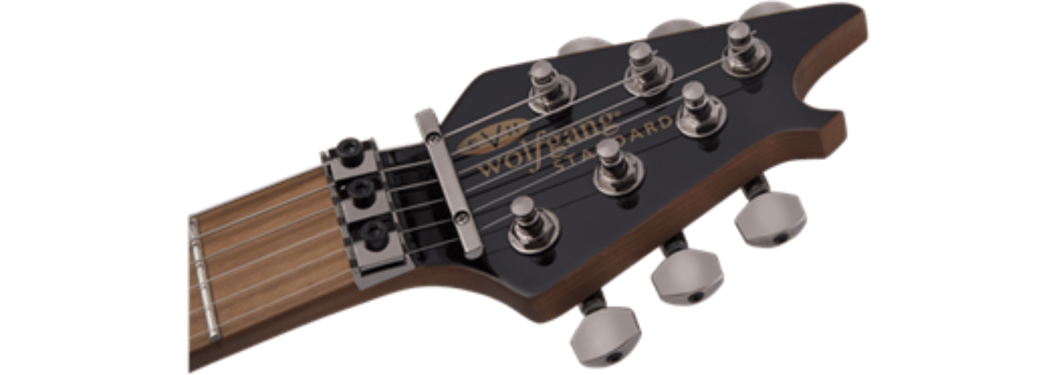 EVH Wolfgang® WG Standard, Baked Maple Fingerboard, Gloss Black by FMIC