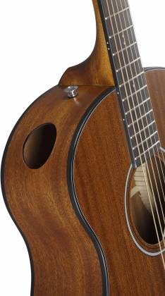 Ibanez AAM54OPN Advanced Acoustic Guitar - Open Pore Natural by Hoshino