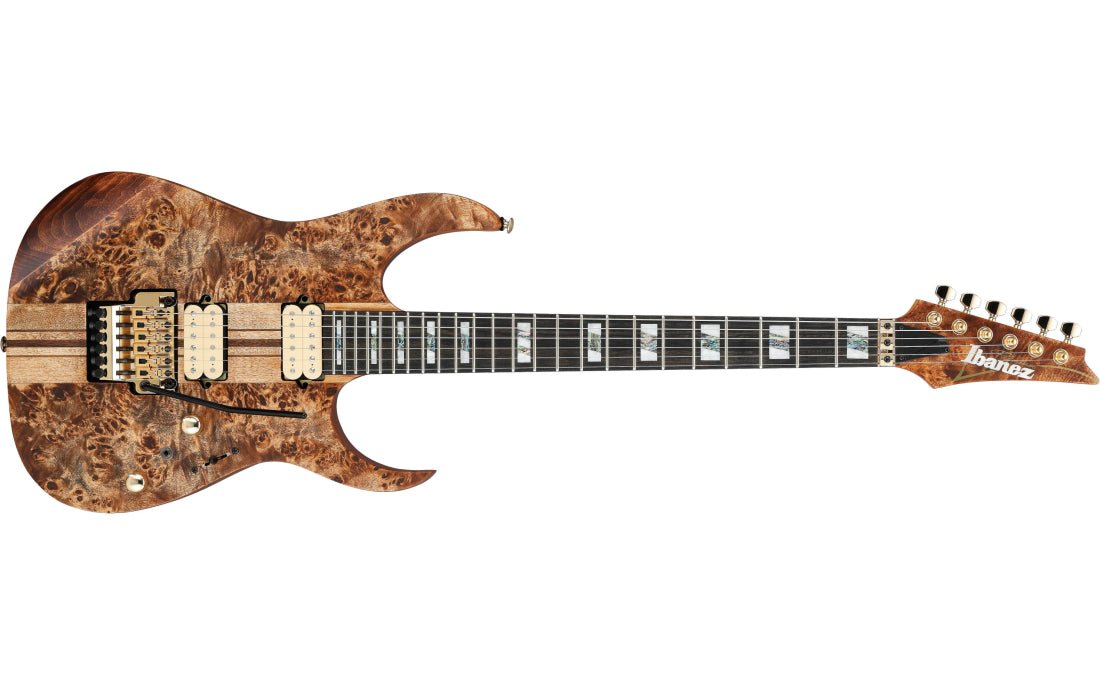 Ibanez RG Premium RGT1220 Electric Guitar, Antique Brown Stained by Hoshino
