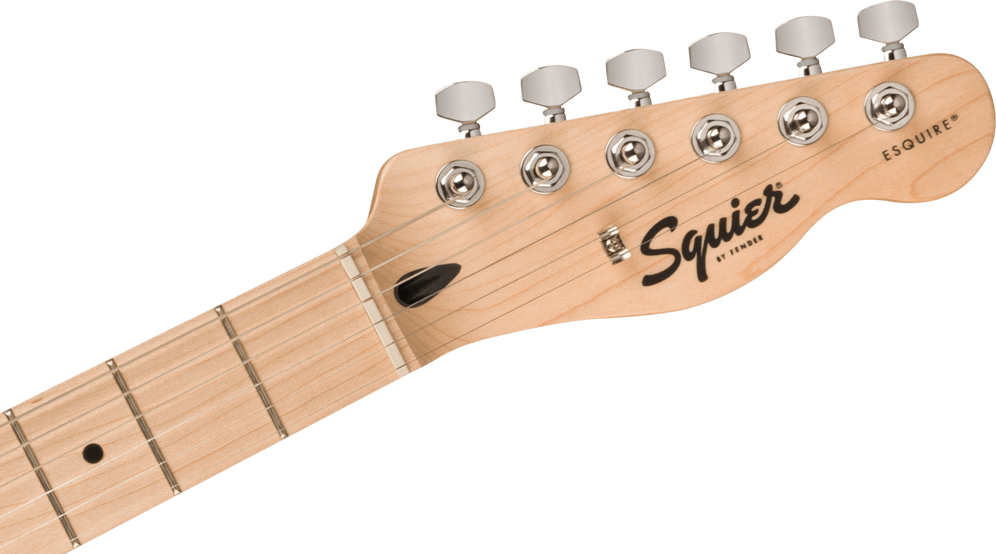 Squier Sonic™ Esquire® H, Maple Fingerboard, Black Pickguard, Arctic White by FMIC