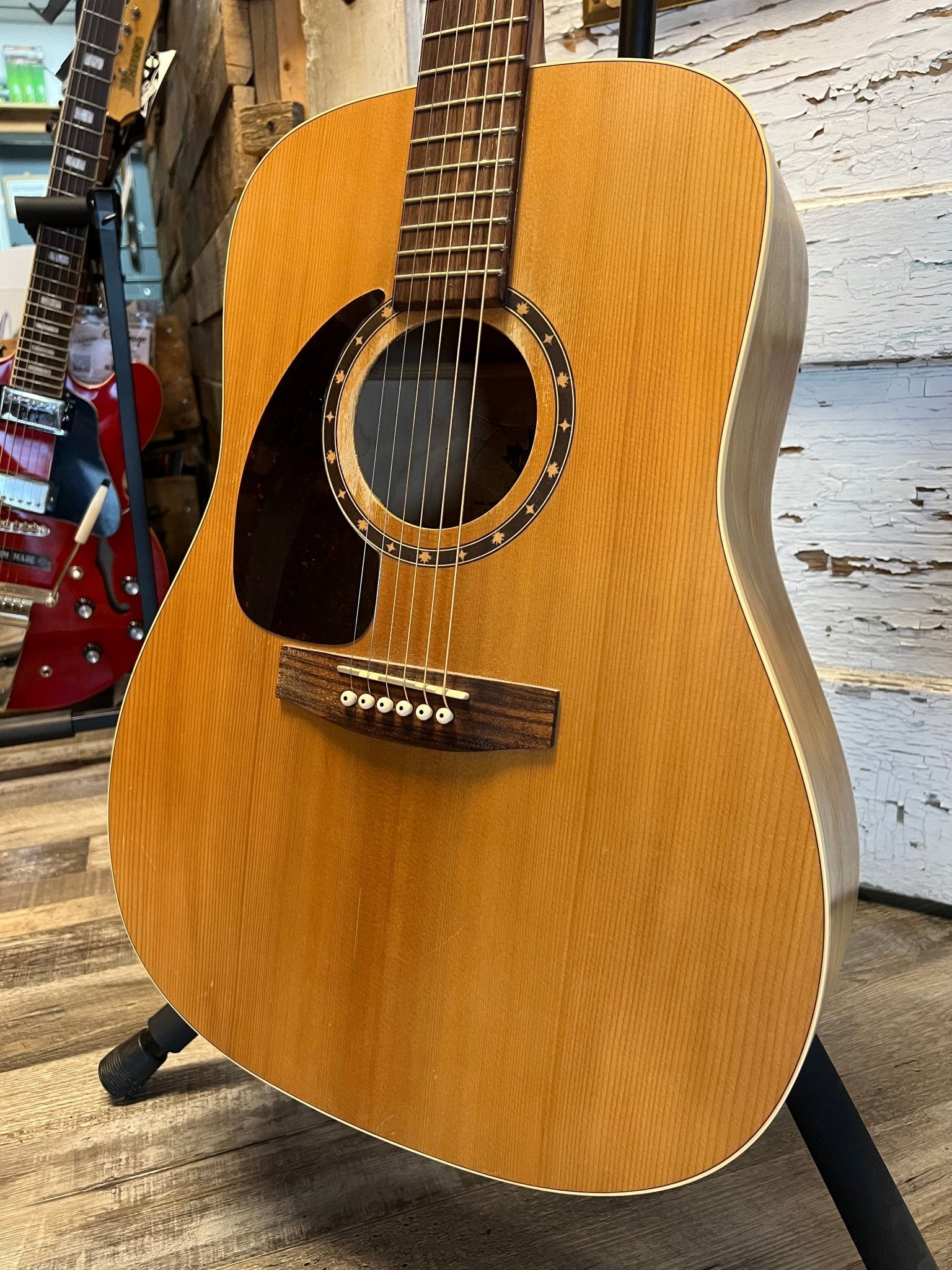 Used Norman B20 (6) Lefty by Used