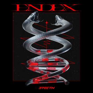 VINYL 3TEETH – EndEx by FAB