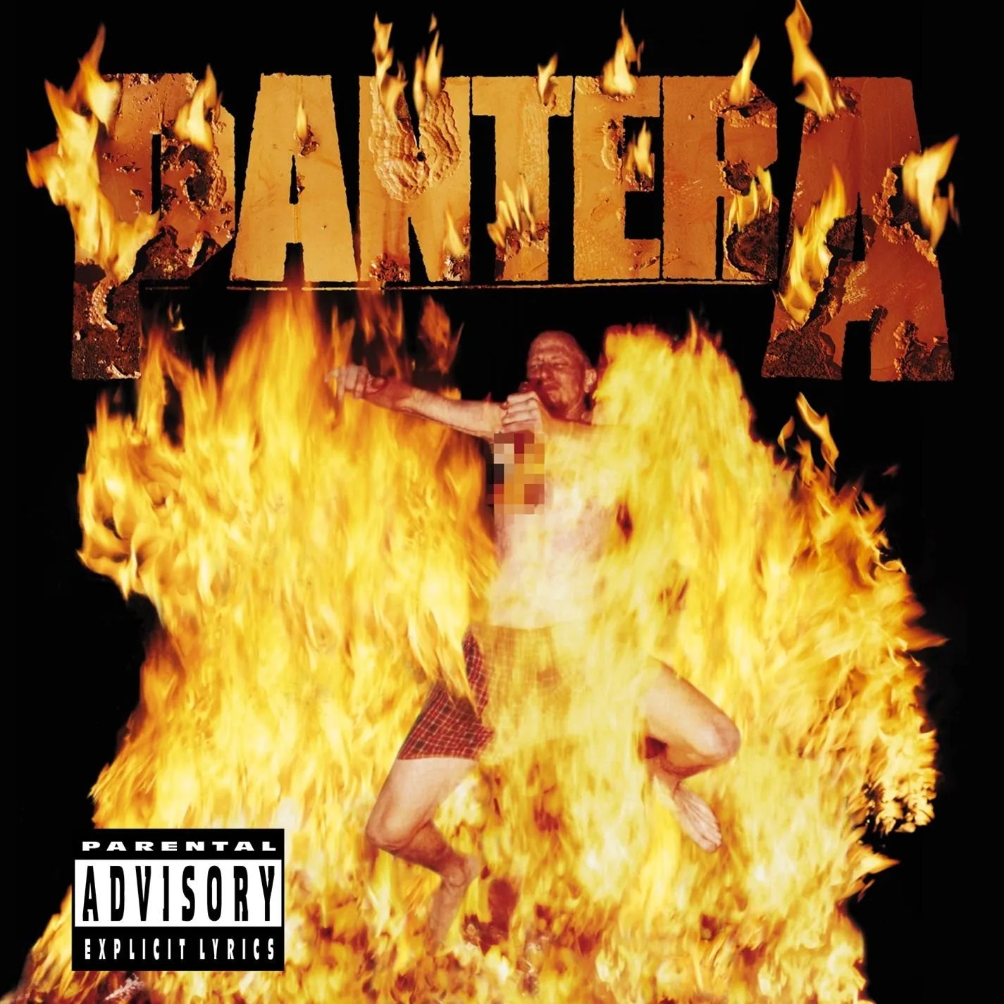 VINYL Pantera Reinventing the Steel (Marbled White) by FAB