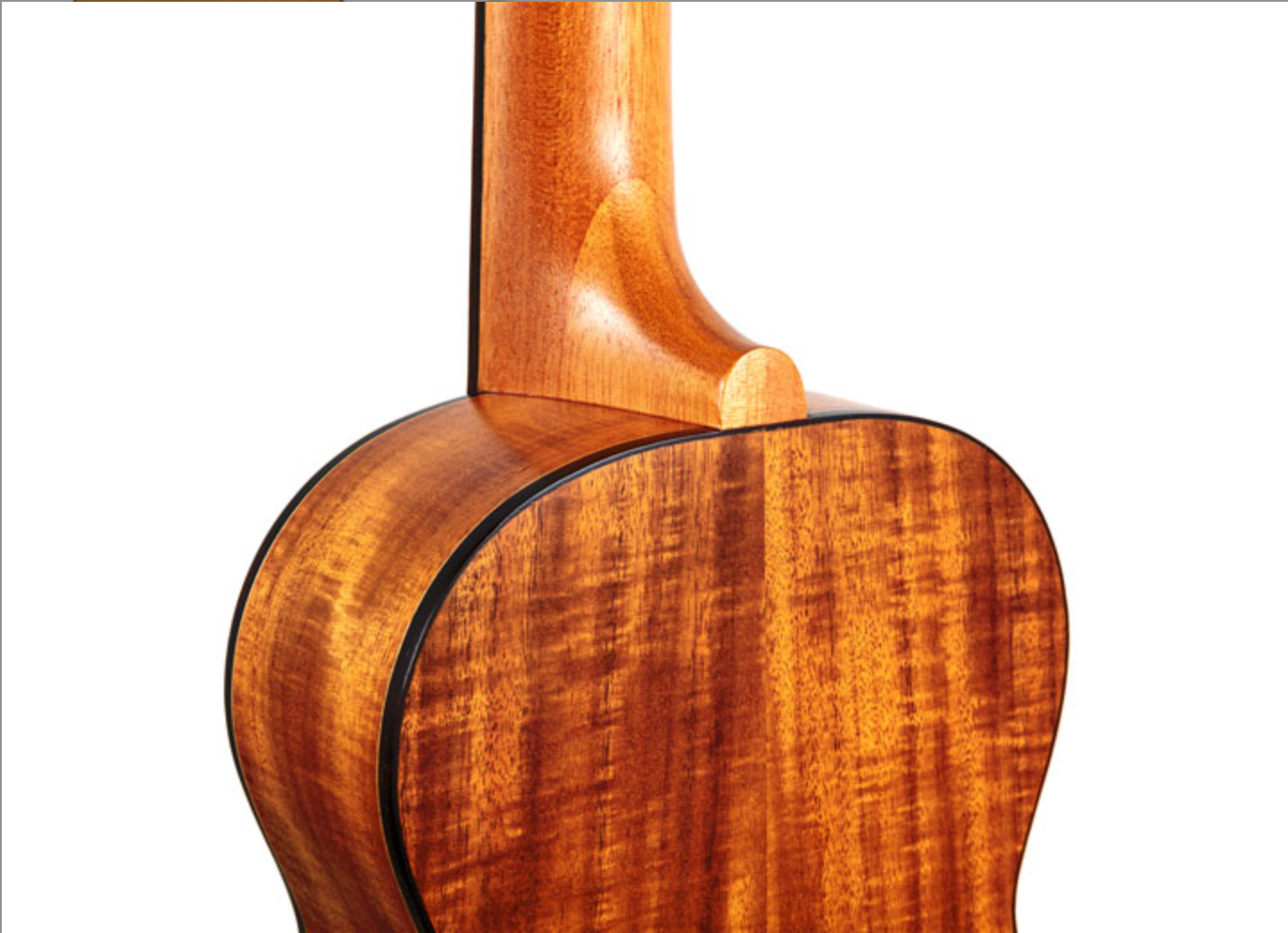 Twisted Wood Sierra Ukulele