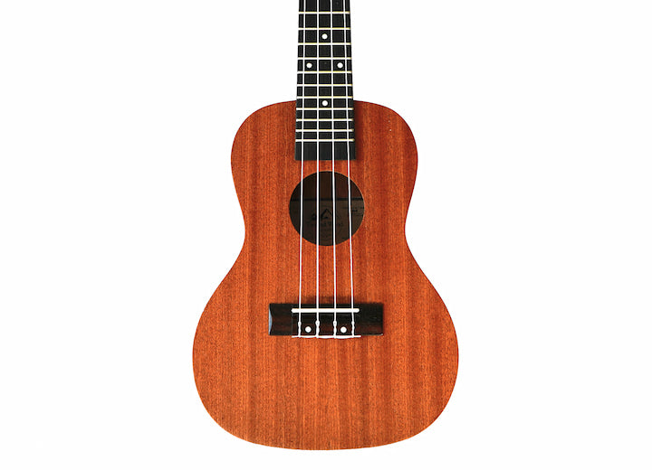 Twisted Wood Tyro Ukulele