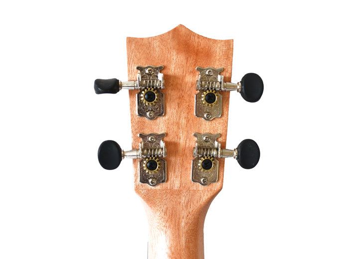 Twisted Wood Tyro Ukulele