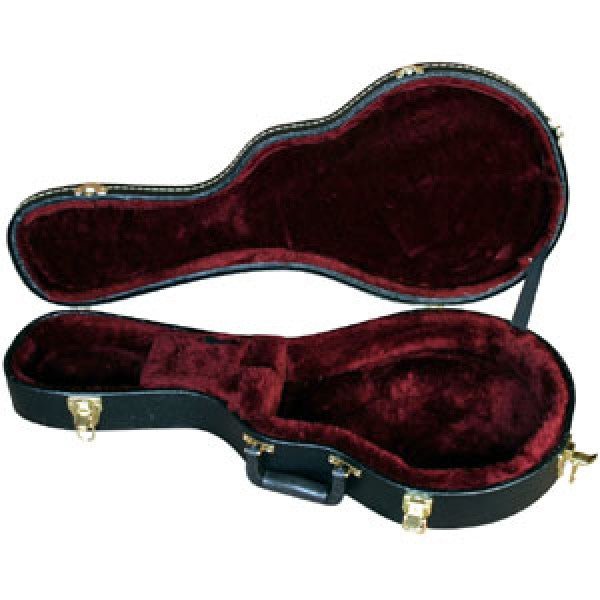 Boblen Mandolin Case by Coast Music