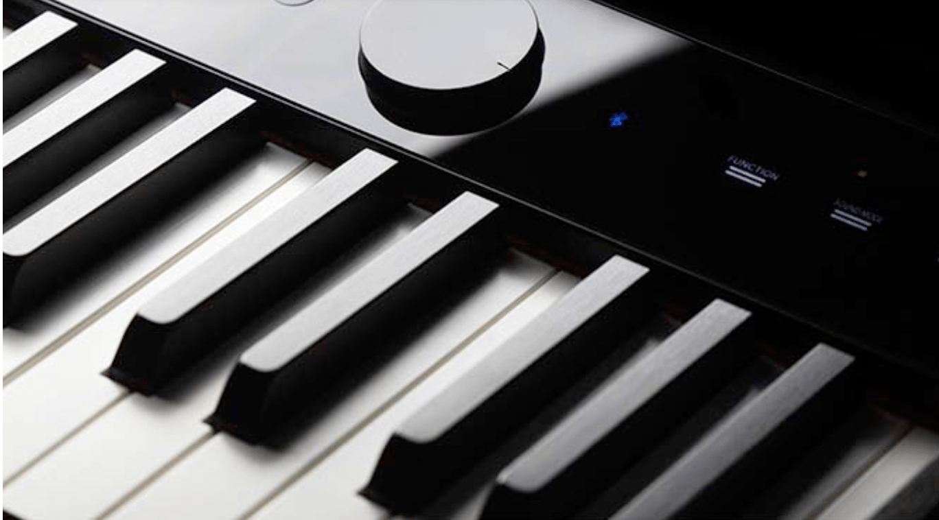 Casio Privia PX - S1000 Digital Piano by SFM