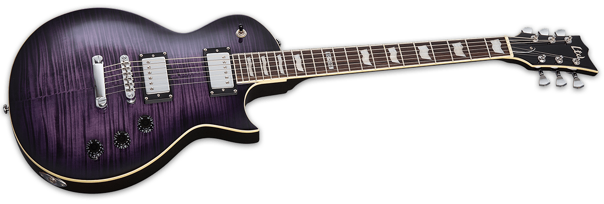 ESP LTD EC - 256FM Electric Guitar, See Thru Purple Sunburst by B&J