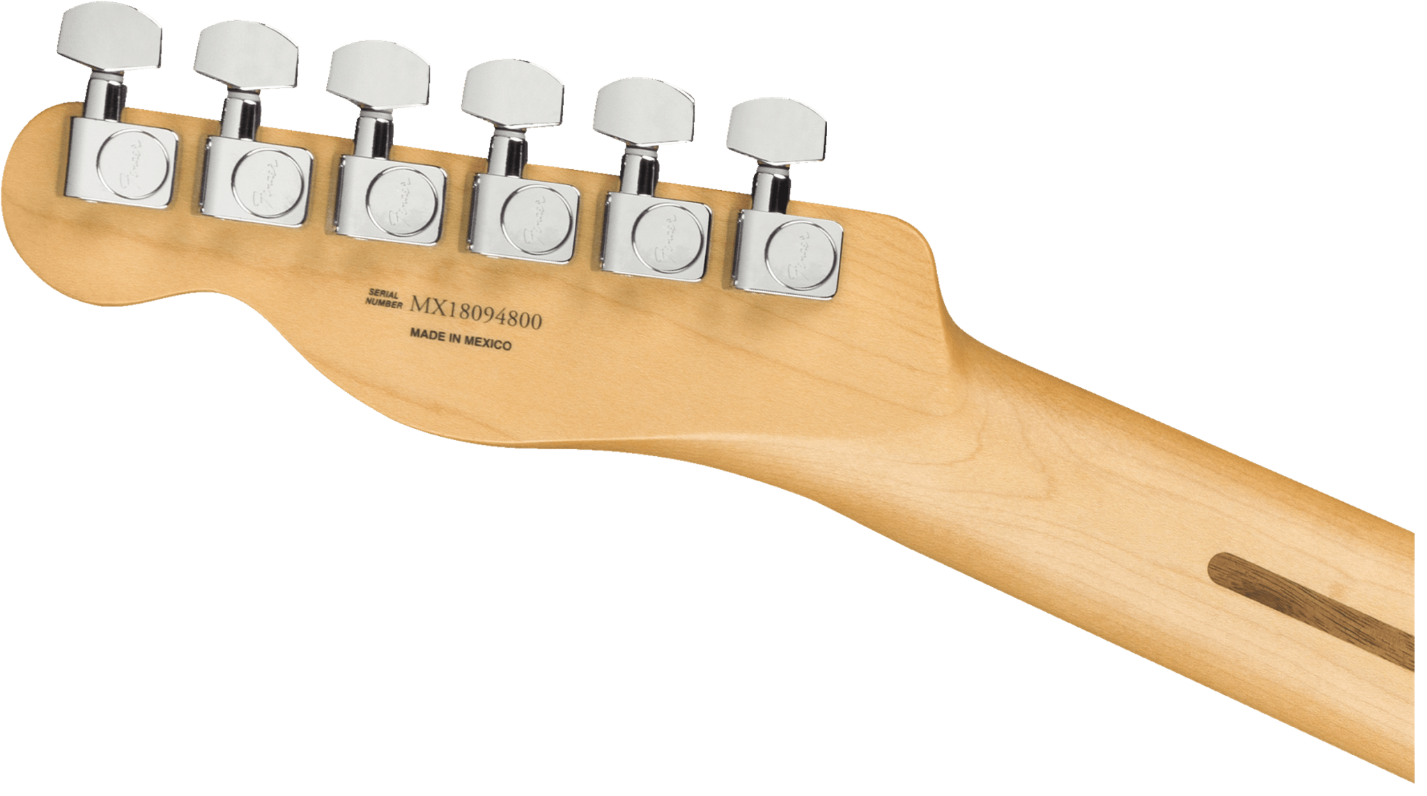 Fender Player Telecaster®, Maple Fingerboard, Tidepool by FMIC