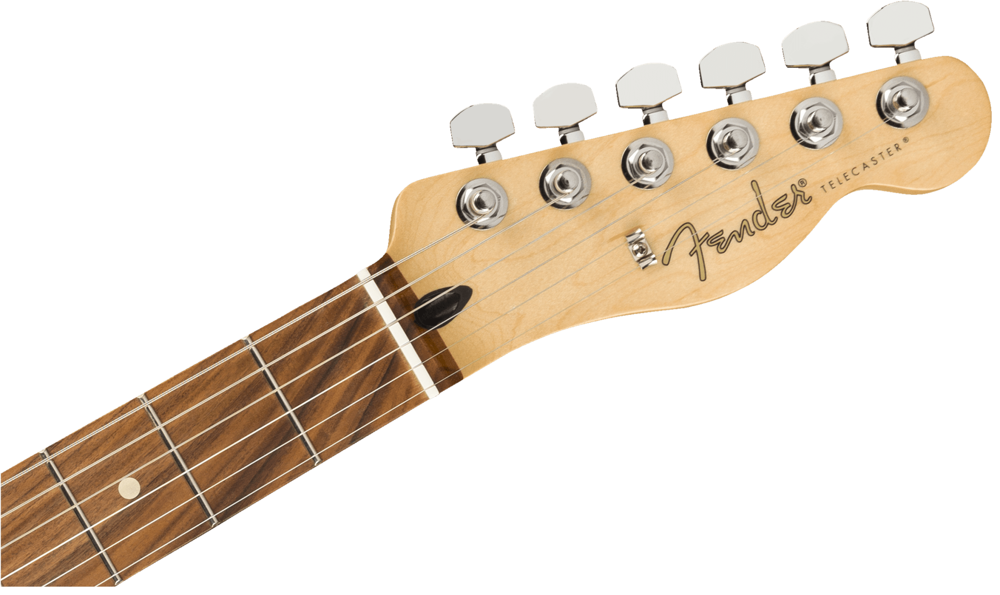 Fender Player Telecaster®, Pau Ferro Fingerboard, Polar White by FMIC
