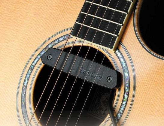Fishman PRO - NEO - D01 Neo - D Soundhole Acoustic Single Coil Pickup by Fishman
