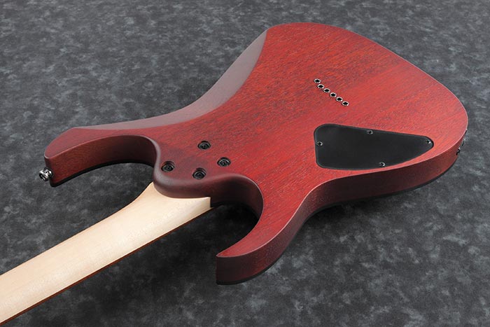 Ibanez RG Standard RG421PB Electric Guitar - Caribbean Shoreline Flat by Hoshino