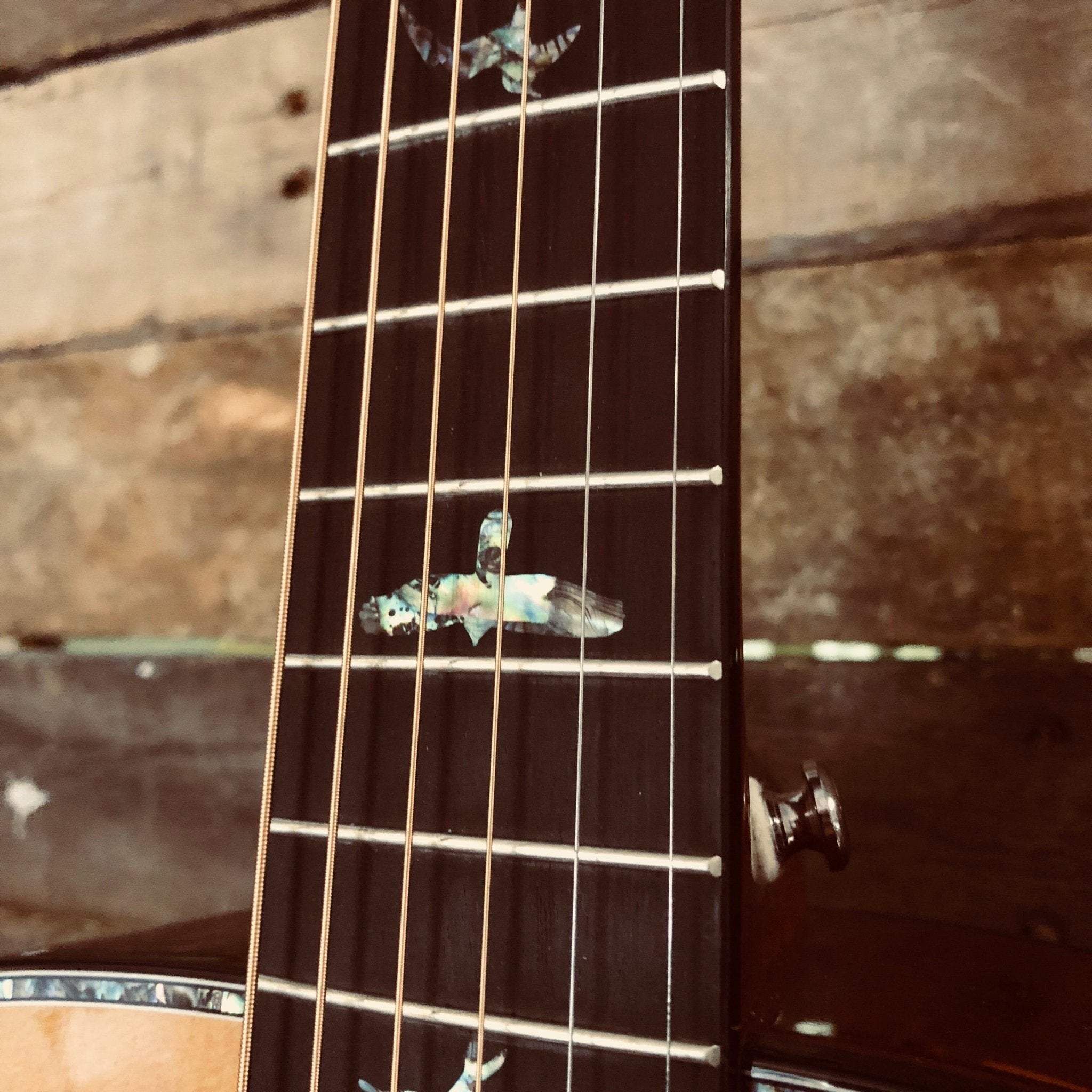Paul Reed Smith PRS Tonare T50E by PRS