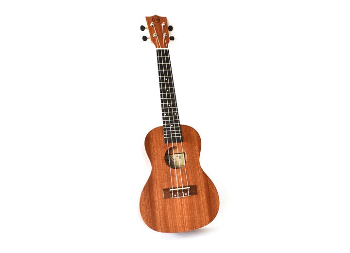 Twisted Wood Tyro Ukulele by Twisted Wood Guitars