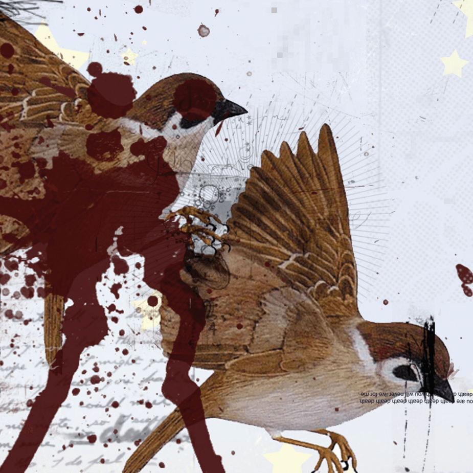 VINYL Bring Me The Horizon This Is What The Edge Of Your Seat Is Made For (Orange Vinyl) by FAB