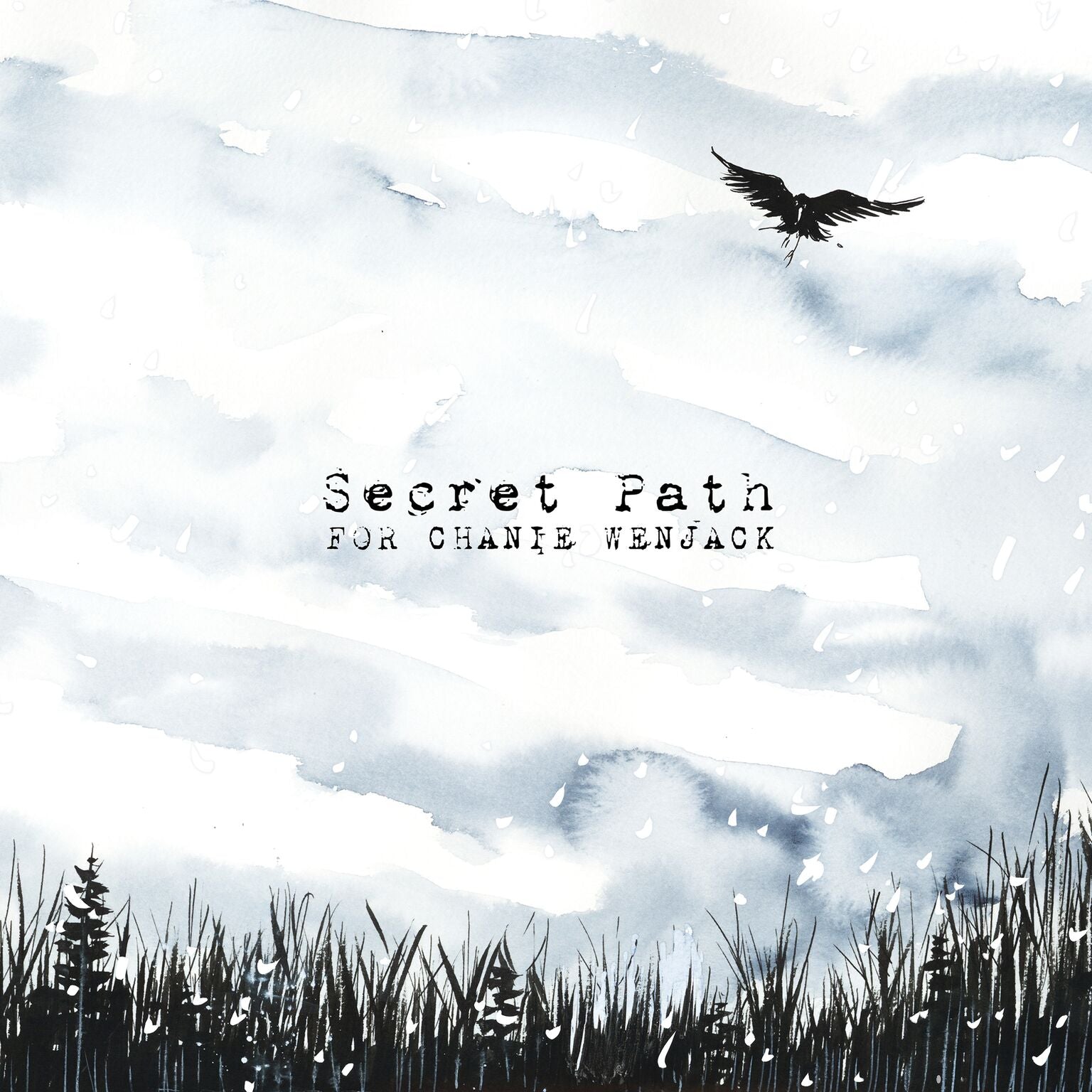 VINYL Gord Downie & Jeff Lemire Secret Path Deluxe Edition W/ 88 Page Book, 180G Vinyl, Download & 10 Lyric Posters by FAB