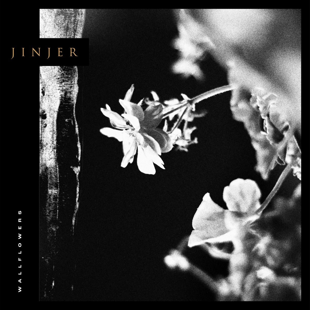 VINYL Jinjer Wallflowers by FAB