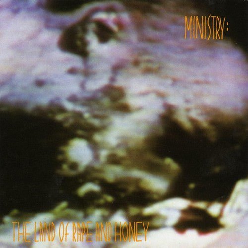 VINYL MINISTRY LAND OF RAPE & HONEY (180G) by FAB