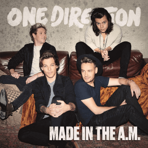 VINYL ONE DIRECTION MADE IN THE A.M. (2LP) by FAB