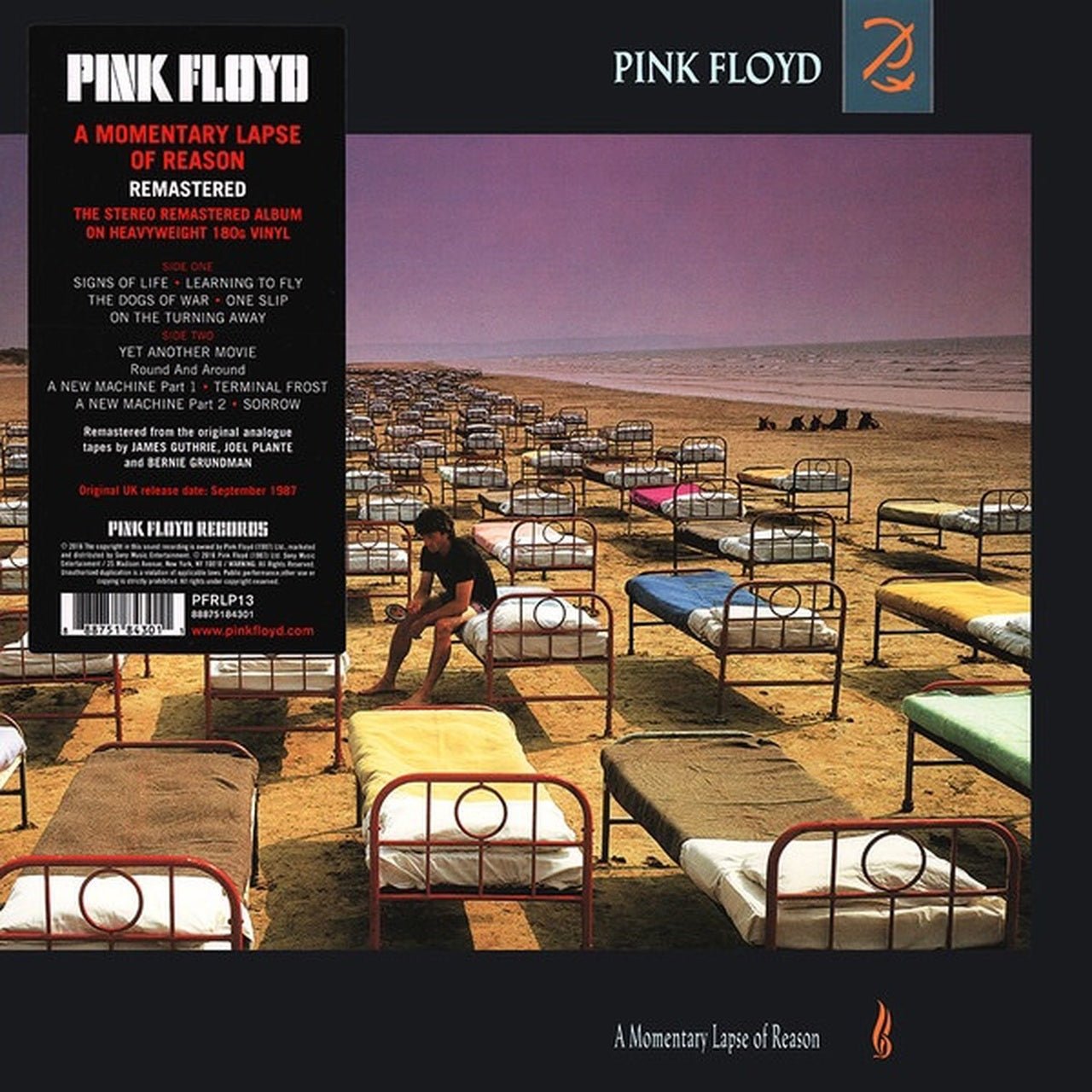 VINYL Pink Floyd A Momentary Lapse Of Reason by FAB