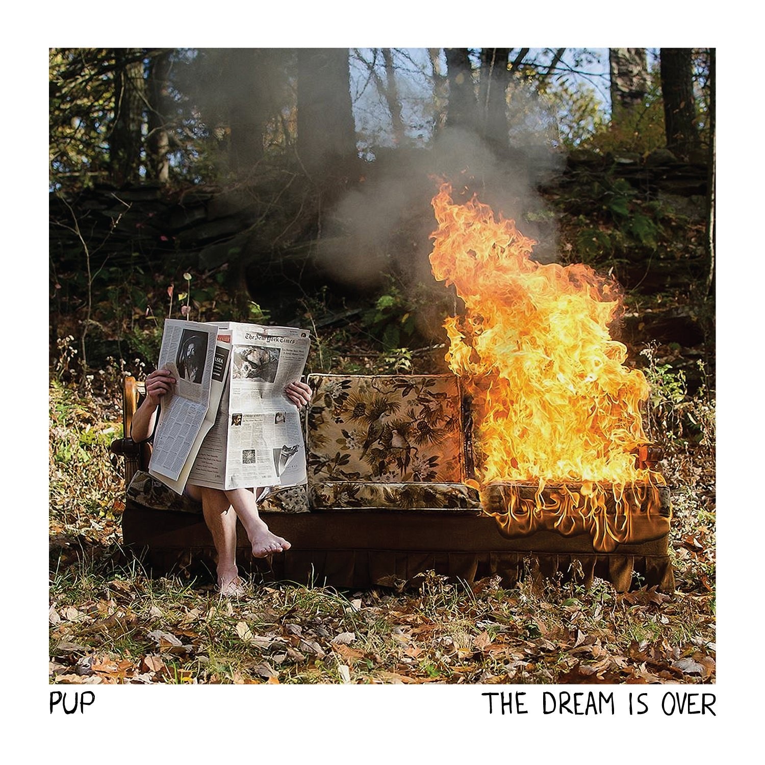 VINYL Pup The Dream Is Over by FAB
