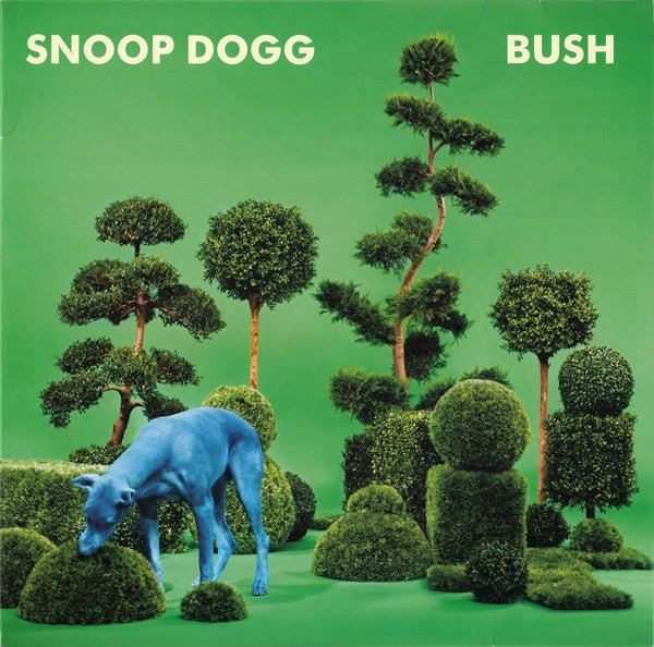 VINYL Snoop Dogg Bush by FAB