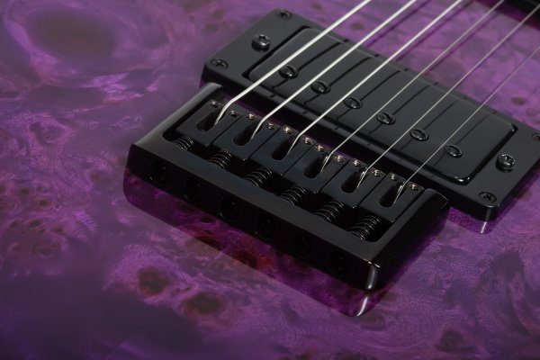 Schecter PT Standard Electric Guitar, Purple Burst Burl