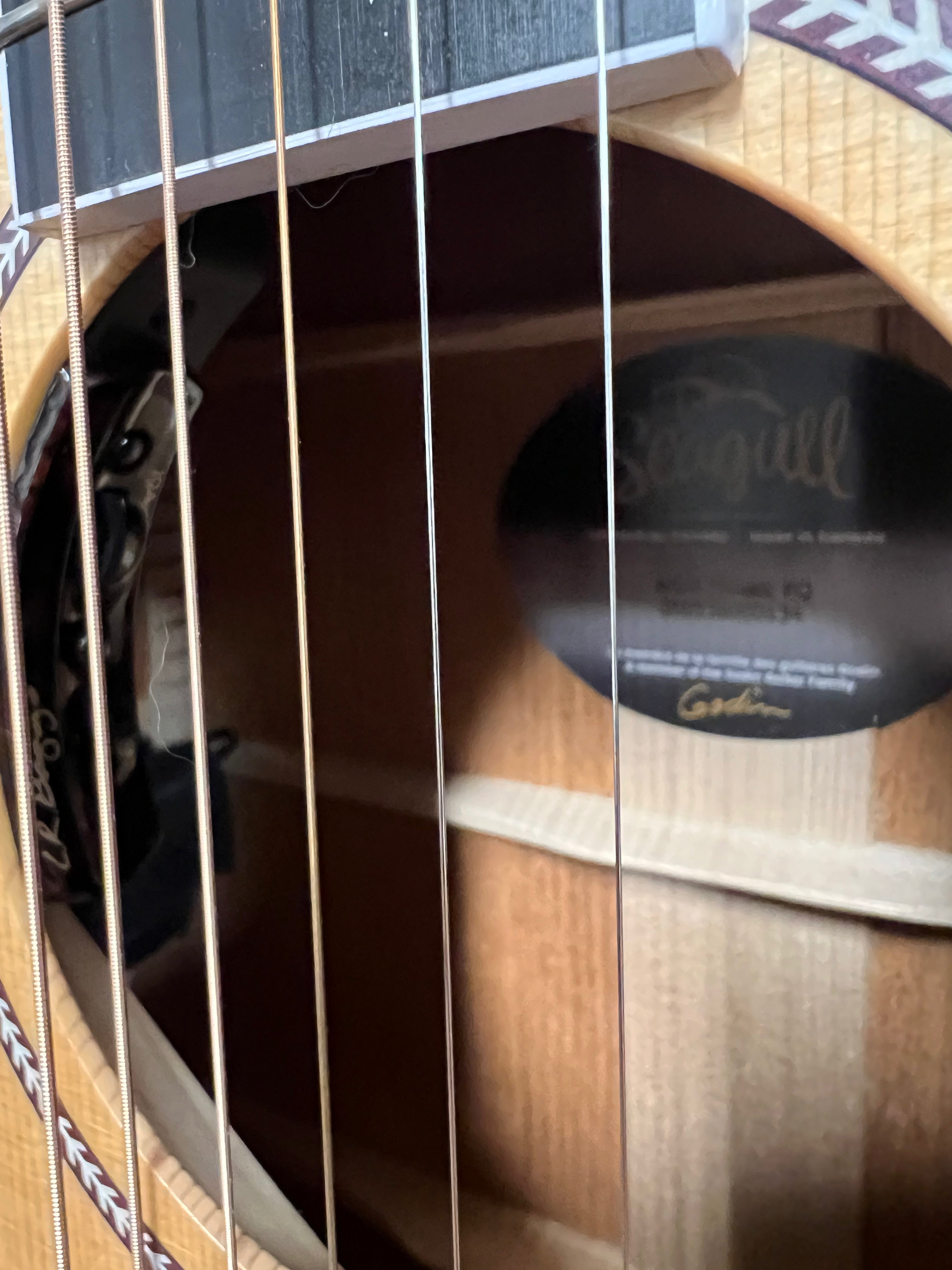 Used Seagull Artist Mosaic Anthem EQ w/ Bag