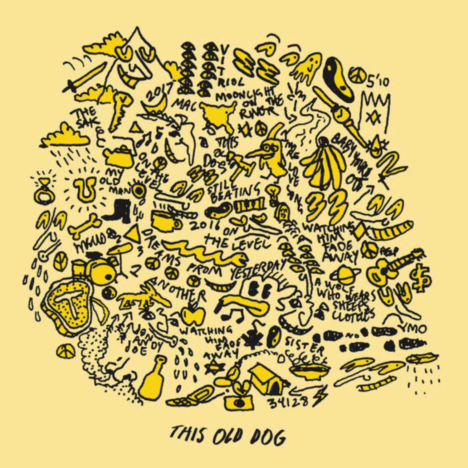 VINYL Mac DeMarco This Old Dog
