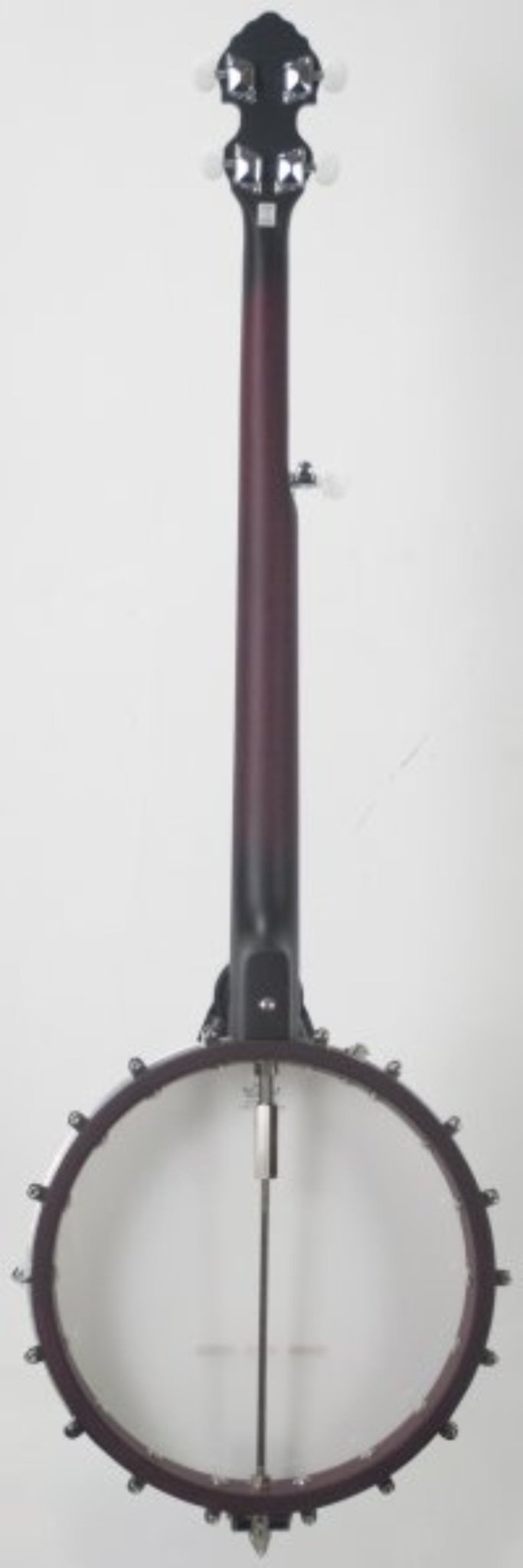 Alabama 5 - string Open Back Banjo, Natural by Coast Music