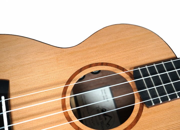 Carnyx Ukulele Pickup System by Twisted Wood Guitars