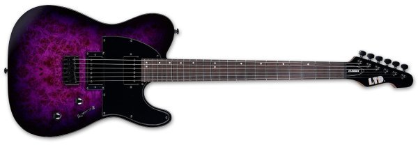 ESP TE - 200DX Electric Guitar, Purple Burst by Coast Music