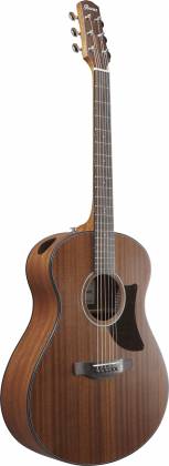 Ibanez AAM54OPN Advanced Acoustic Guitar - Open Pore Natural by Hoshino