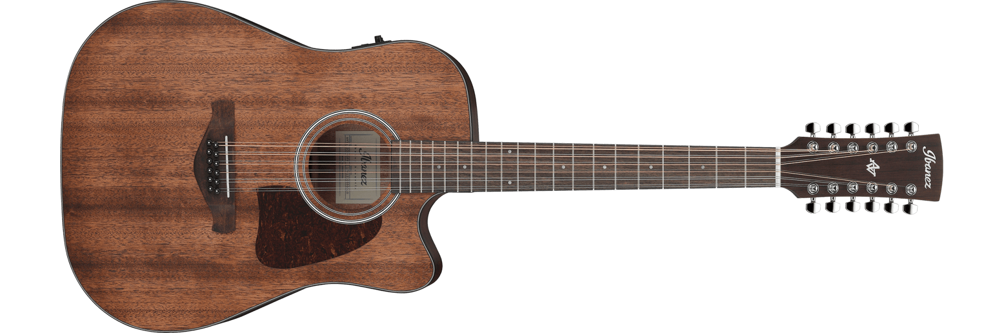 Ibanez AW5412CE Artwood Acoustic - Electric 12 String, Open Pore by Hoshino