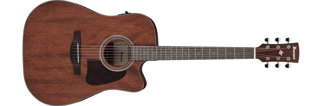 Ibanez AW54CE Cutaway Dreadnought Acoustic/Electric Guitar - Open Pore Natural by Hoshino