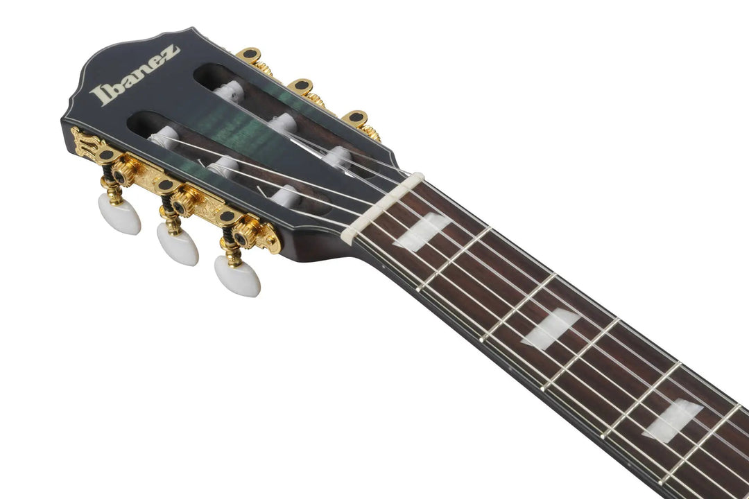 Ibanez FRH20 Nylon Acoustic/Electric Guitar - Dark Emerald Burst Low Gloss by Ibanez