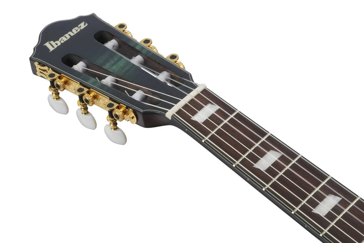 Ibanez FRH20 Nylon Acoustic/Electric Guitar - Dark Emerald Burst Low Gloss by Ibanez