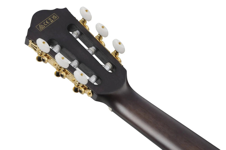 Ibanez FRH20 Nylon Acoustic/Electric Guitar - Dark Emerald Burst Low Gloss by Ibanez
