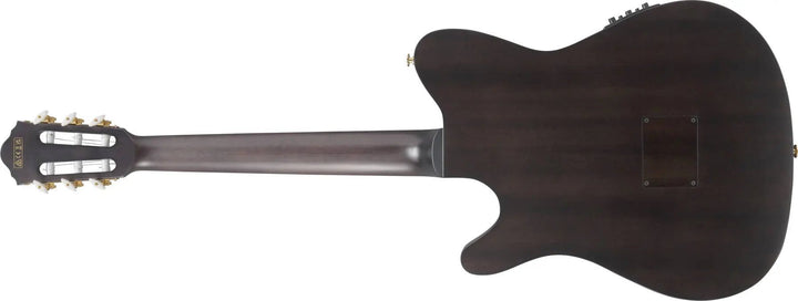 Ibanez FRH20 Nylon Acoustic/Electric Guitar - Dark Emerald Burst Low Gloss by Ibanez