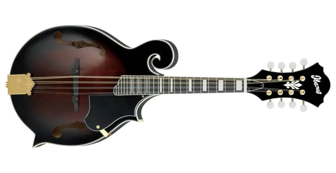 Ibanez M522SDVS F - Style 8 - String Acoustic Mandolin, Dark Violin Sunburst High Gloss by Hoshino