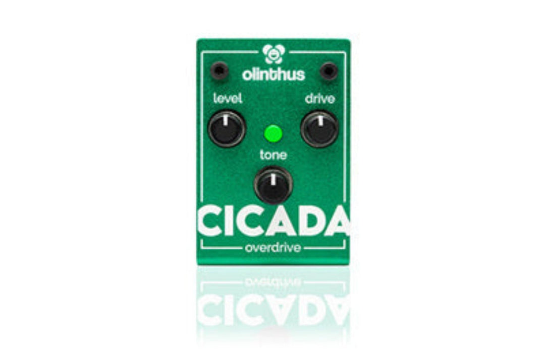 Olinthus CICADA Overdrive Pedal by D'Addario Canada
