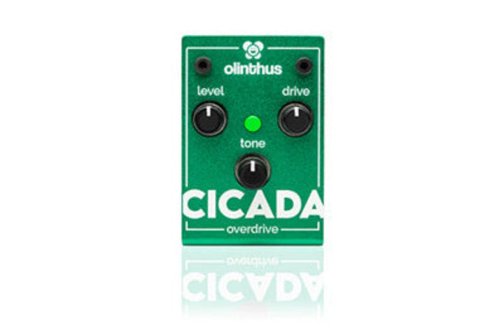 Olinthus CICADA Overdrive Pedal by D'Addario Canada