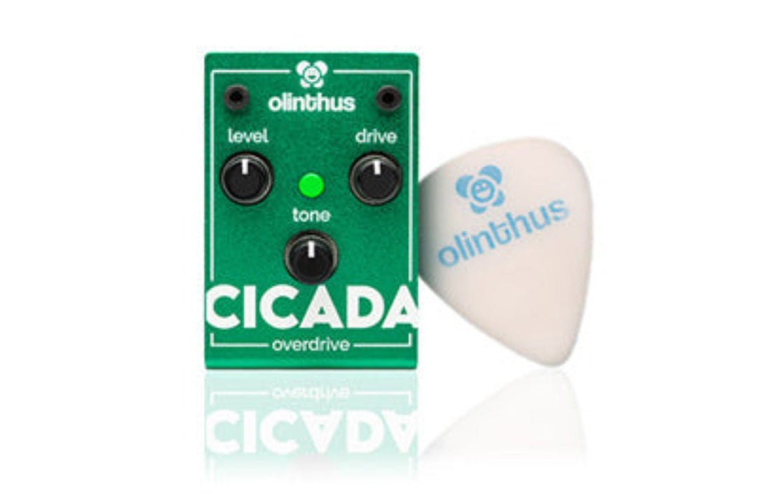 Olinthus CICADA Overdrive Pedal by D'Addario Canada