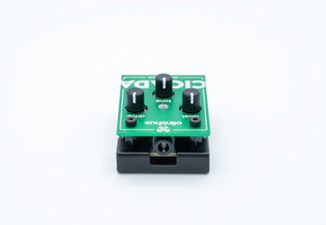Olinthus CICADA Overdrive Pedal by D'Addario Canada