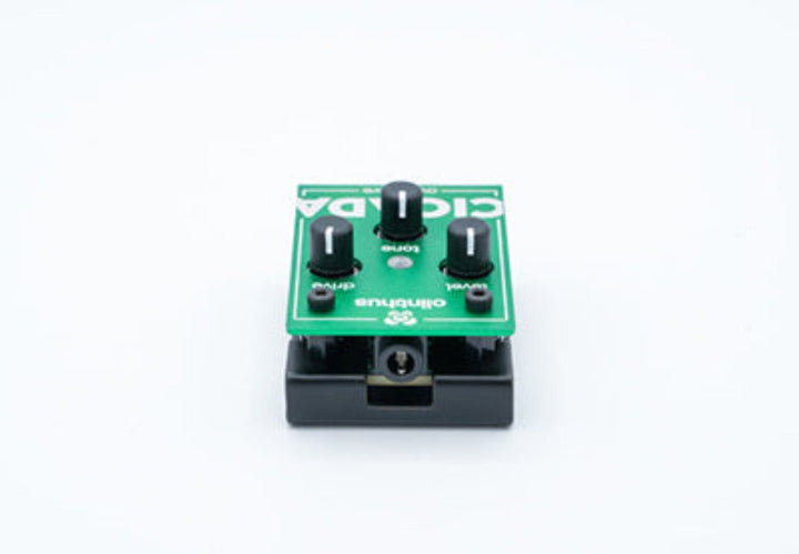 Olinthus CICADA Overdrive Pedal by D'Addario Canada