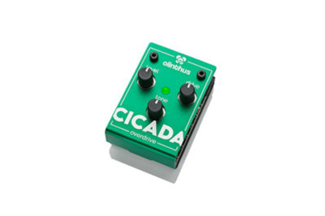 Olinthus CICADA Overdrive Pedal by D'Addario Canada