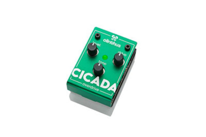 Olinthus CICADA Overdrive Pedal by D'Addario Canada
